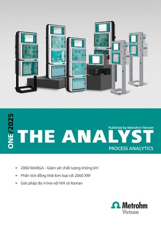 the Analyst